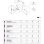 Liv VTT Électrique - Lurra E+ EX 2 - 2025 - mushroom – Image 2