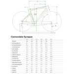 Cannondale Vélo Route - SYNAPSE CARBON 3 L - 2024 - cashmere – Image 2